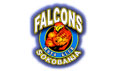 falcons